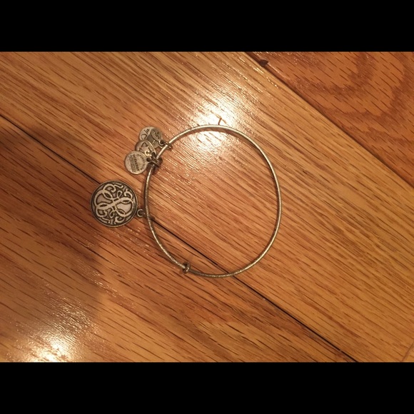 alex and ani bracelet - Picture 1 of 1